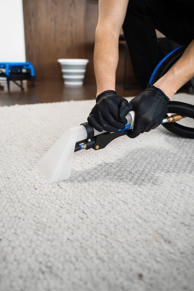 Upholstery Cleaning